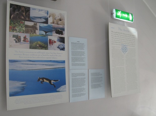 Näitusest "Biodiversity"